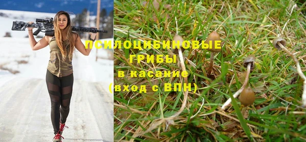 мяу мяу кристалл Коряжма