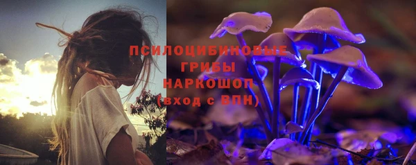 СК Краснослободск