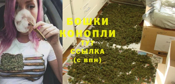 mdpv Костерёво