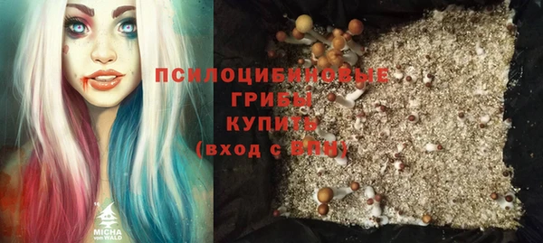 mdpv Костерёво