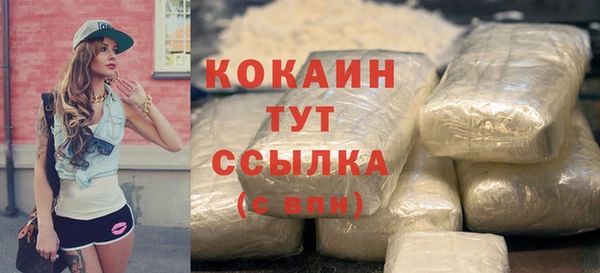 mdpv Костерёво