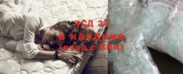 ПСИЛОЦИБИНОВЫЕ ГРИБЫ Корсаков
