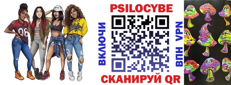 Купить  Гай  Псилоцибиновые грибы прущие грибы 